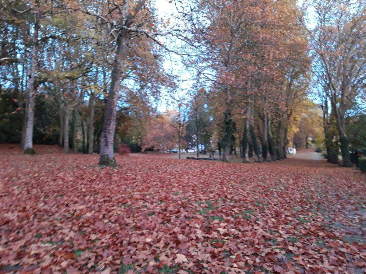 Les Buissonnets * Saint-Honore-les-Bains